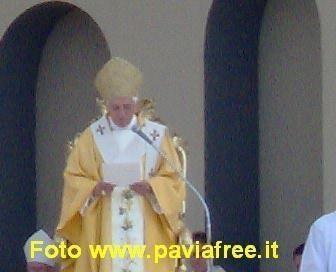 papa ratzinger pavia