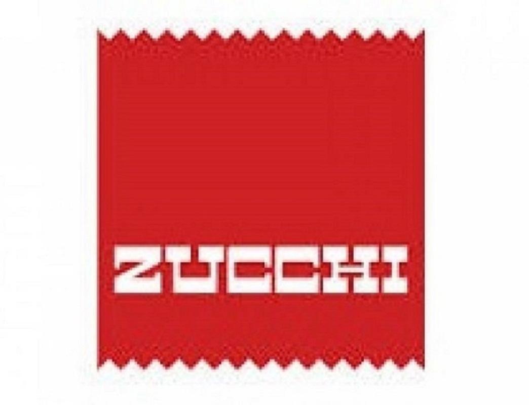 logo zucchi 577855