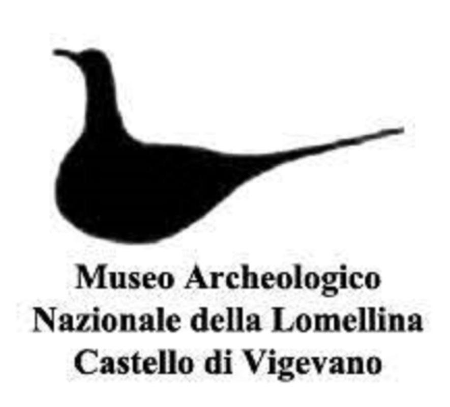 museo archeologo vigevano logo