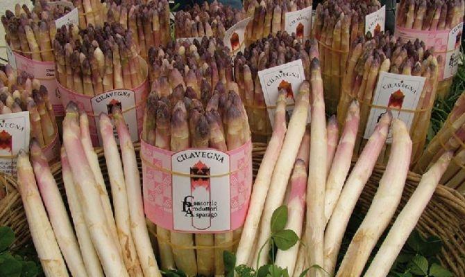 sagra asparago cilavegna 2023